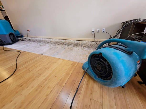 Professional Structural Drying technician working in Osseo, MI